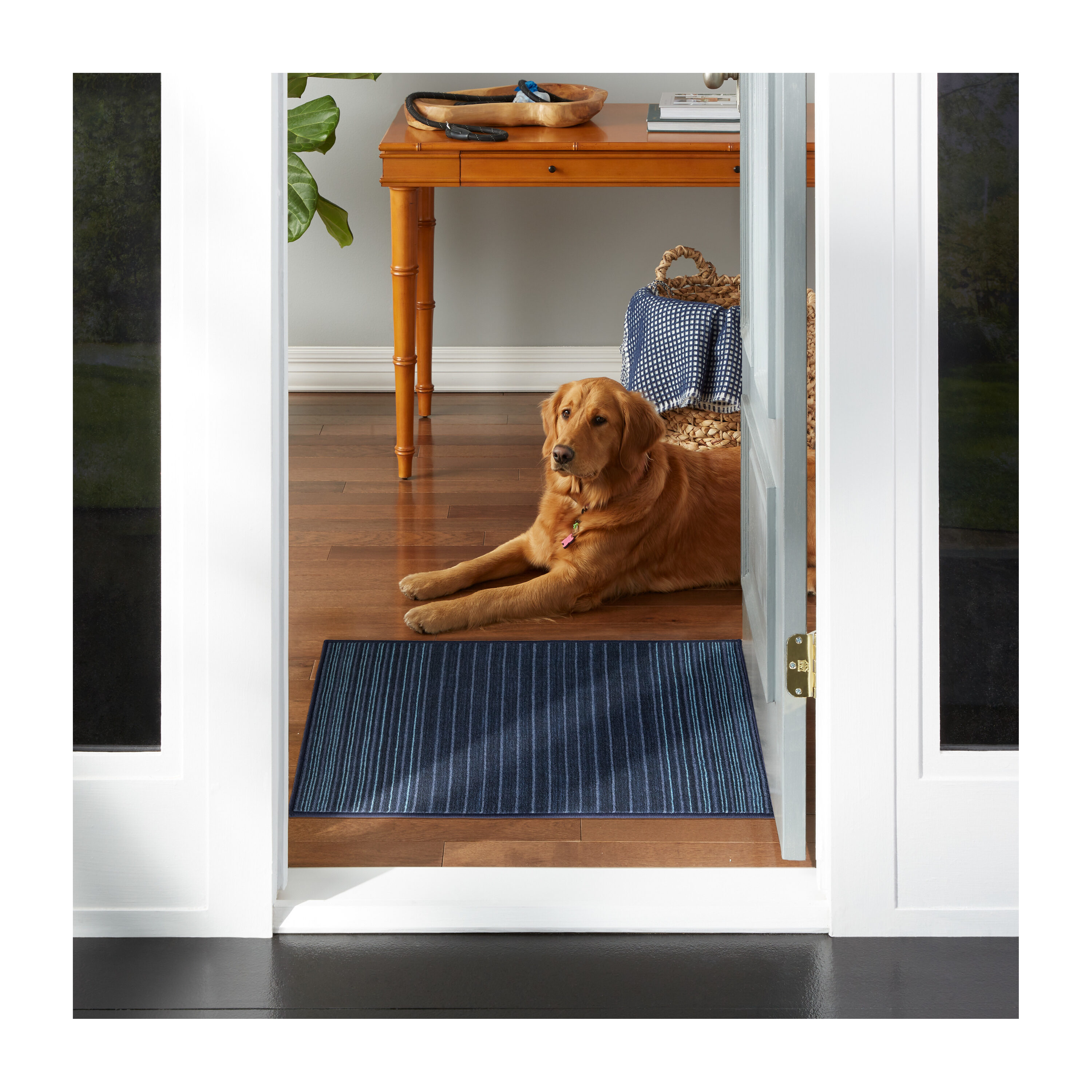 Town & Country Living 2A-114-150 Cloud Shag 6 x 9 (ft) Loomed Polyester Beige Rectangular Indoor Geometric Area rug