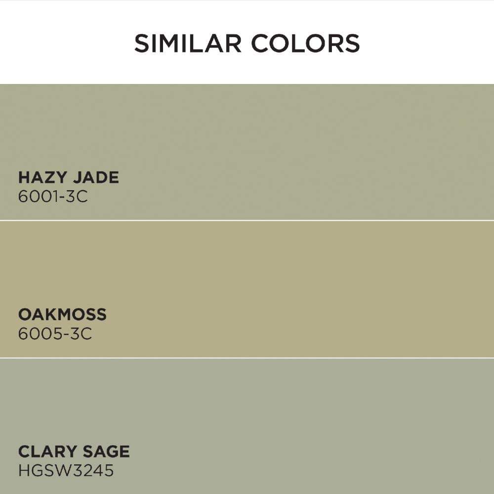 HGTV HOME by Sherwin-Williams 6001-3B-2557207 Int-Ext-Paint - View #6