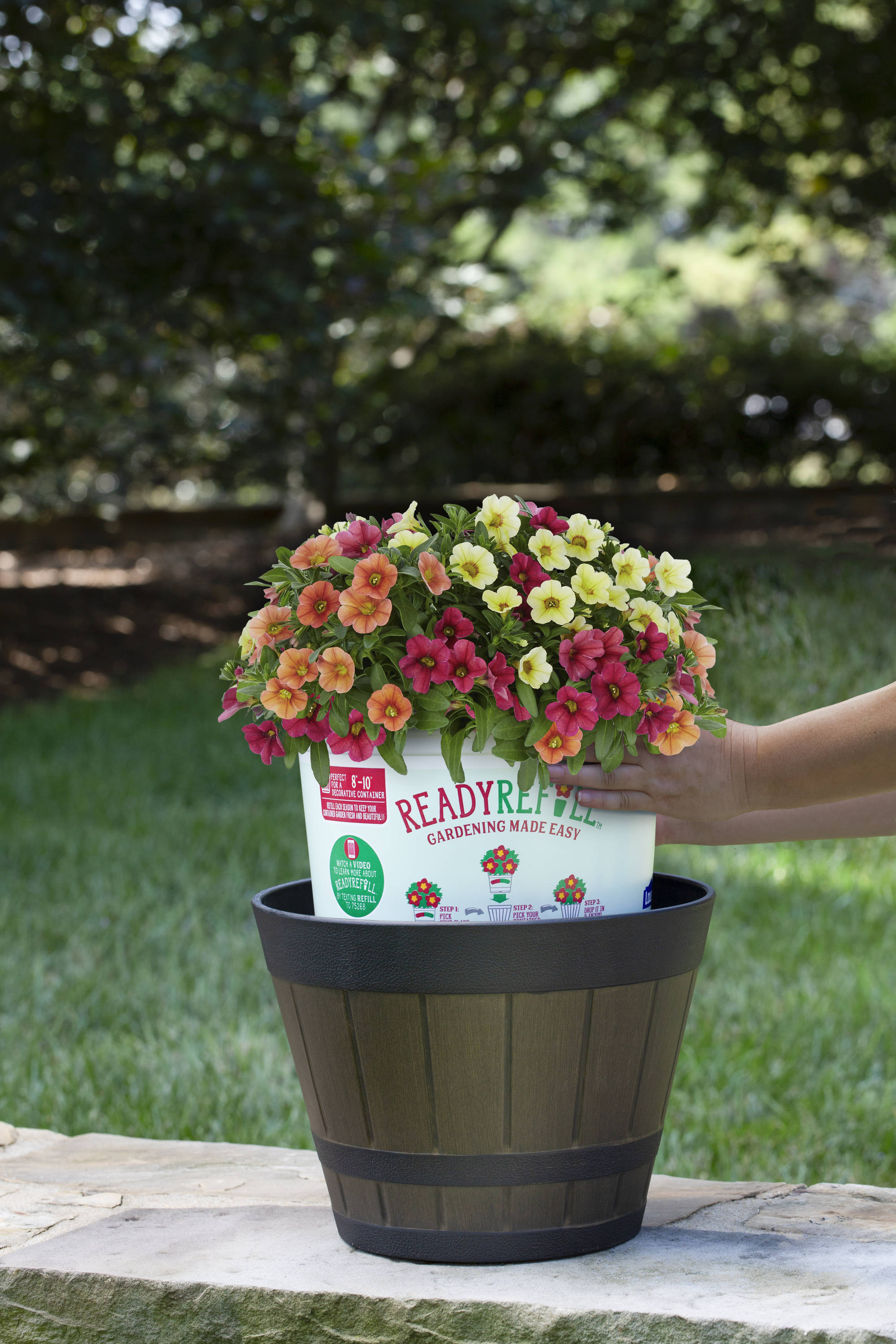 Ready Refill NURSERY annuals - View #7