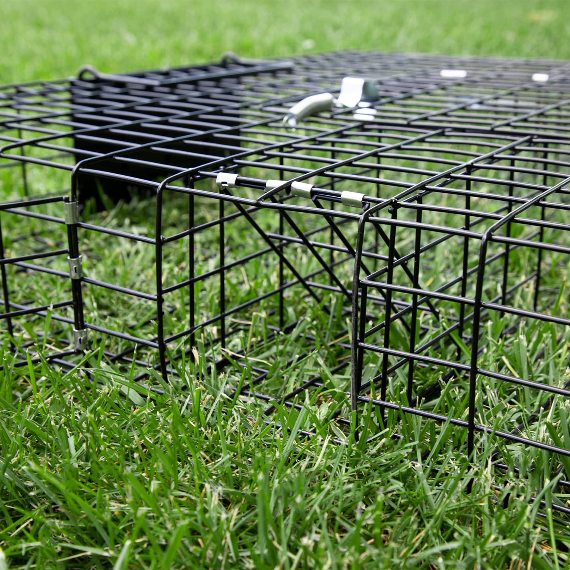 Rugged Ranch Large Metal Wire Live Catch & Release Trap Cage W/ Easy Open  Top Lid & 2 Door System : Target