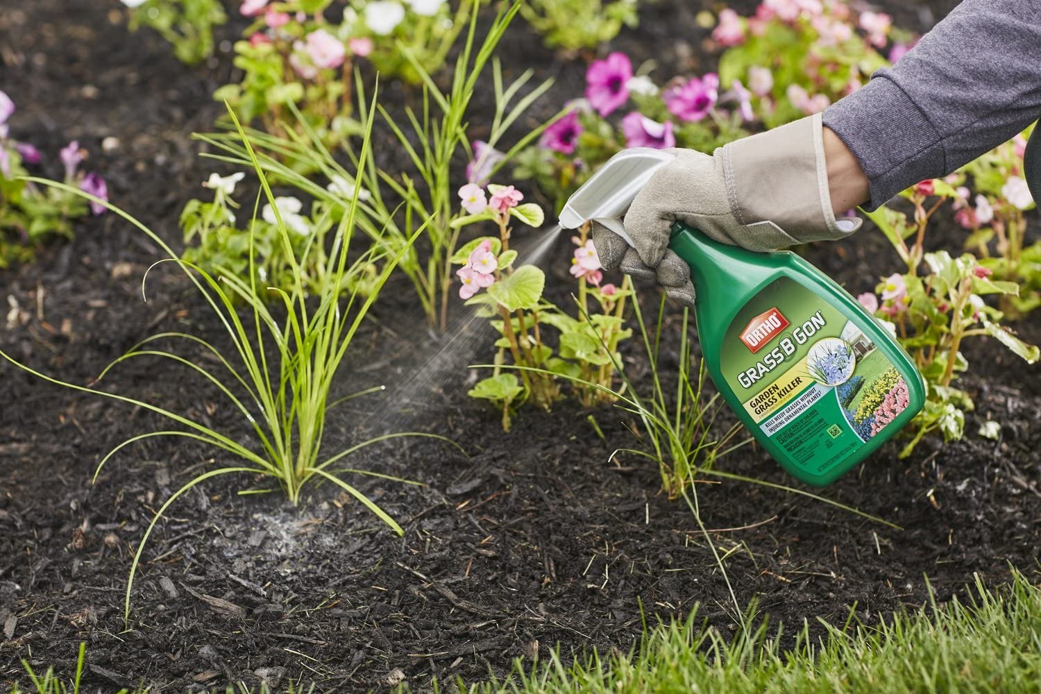 ORTHO 0438560 Weed-Killers - View #7