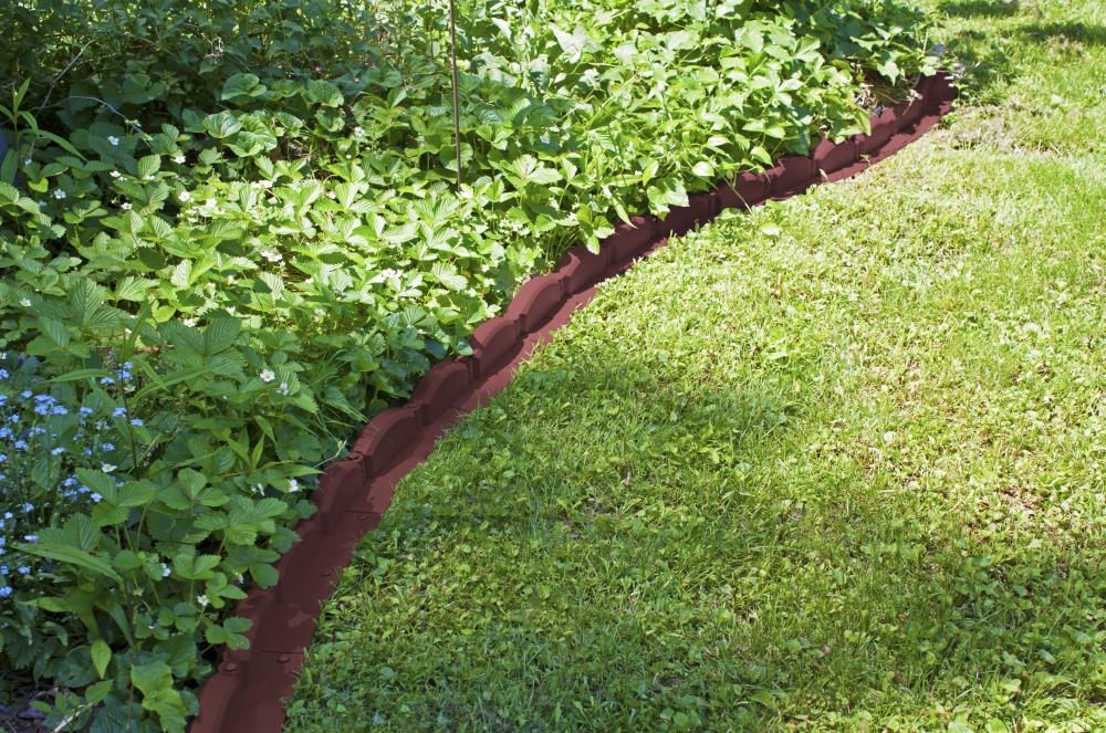 EMSCO GROUP 2038HD edging - View #3