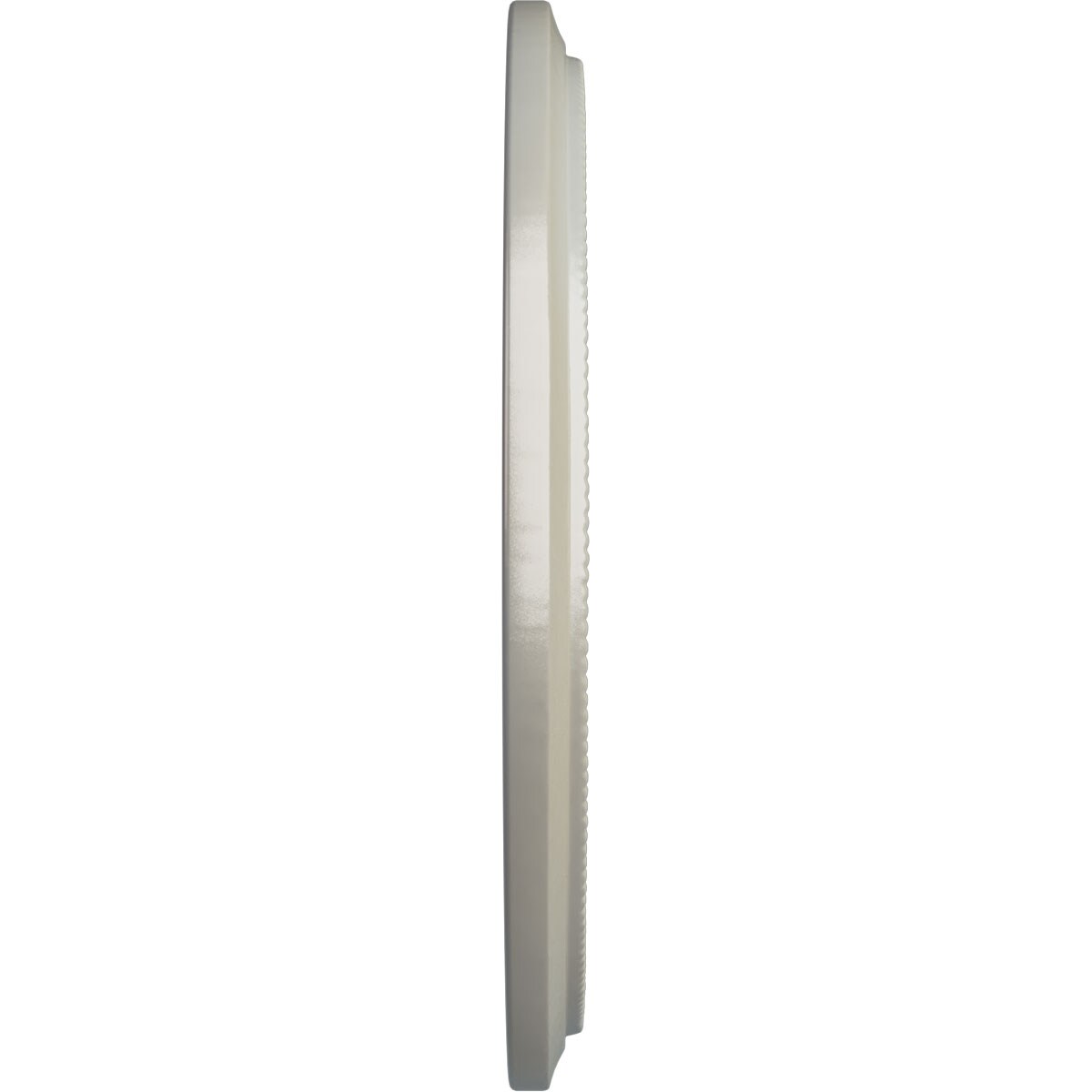 Ekena Millwork CM20LNFBS Ceiling-Medallions - View #3