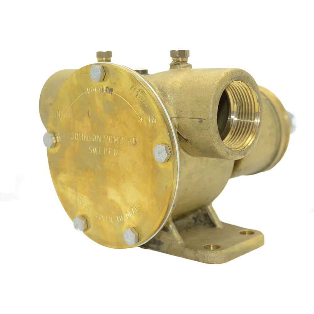 Johnson Pump 10-13021-95 NPT Pedestal Mount Pump- 1 in. Shaft