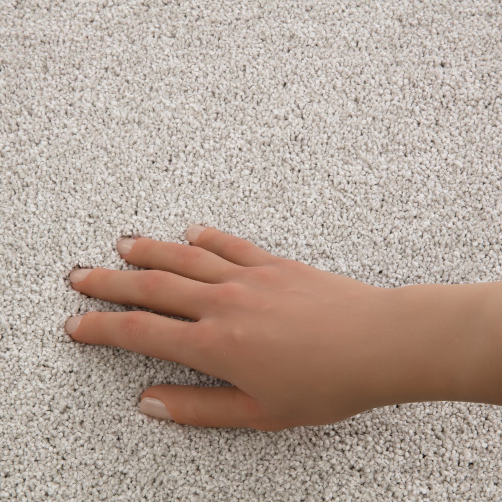 STAINMASTER PetProtect 7L94100145 Carpet-Panel - View #4