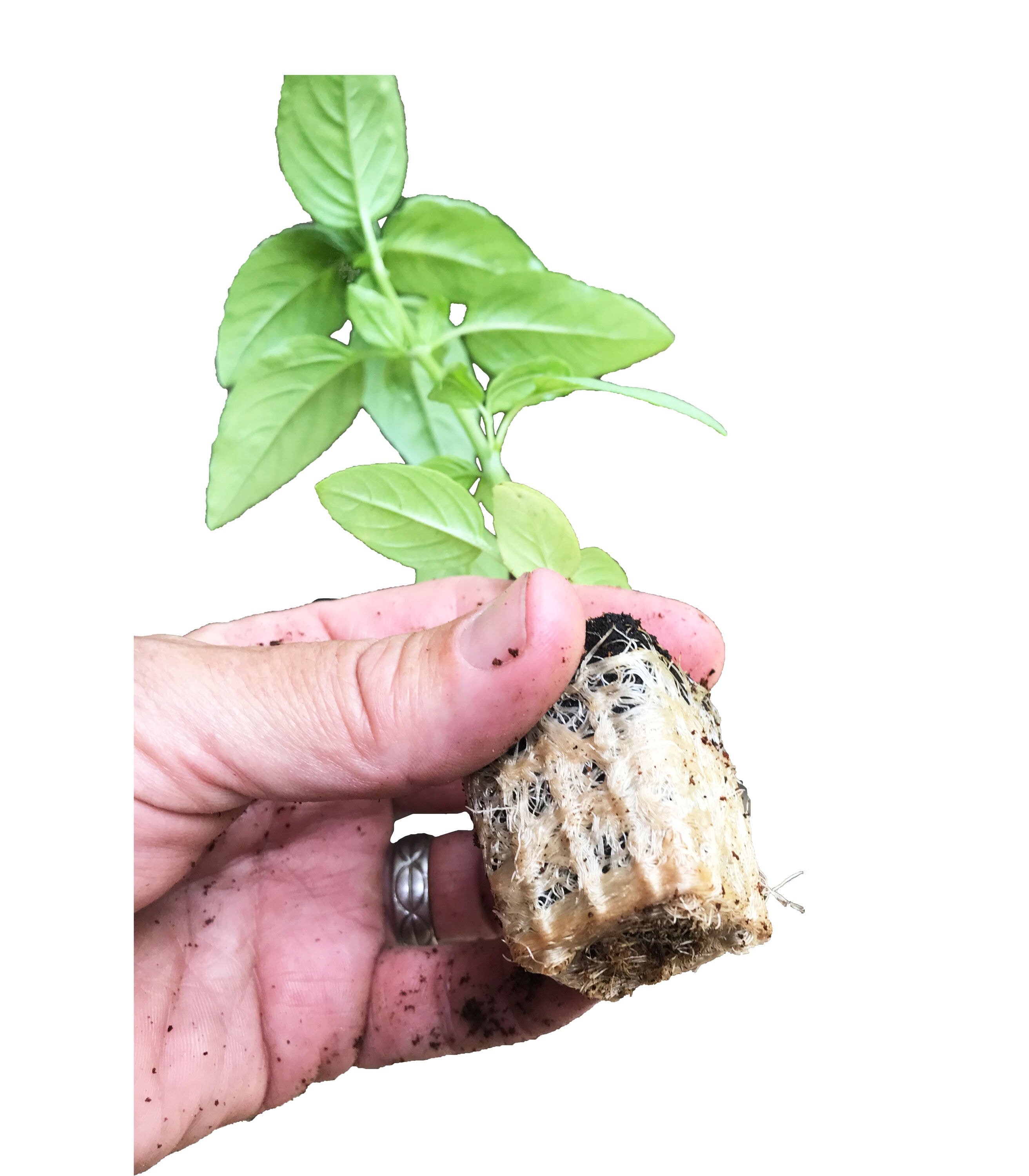 Viagrow VSSP1400 Seed-Starters - View #6