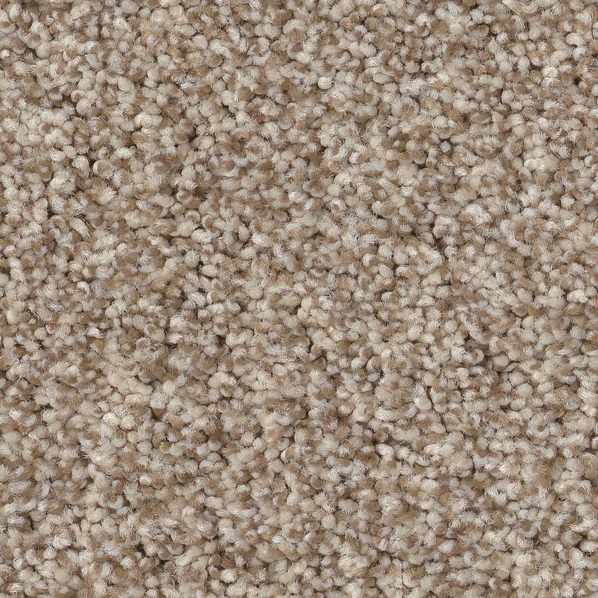STAINMASTER PetProtect 7L85900712 Reverie II Meditation Brown 48.8-oz sq yard Nylon Textured Indoor Carpet