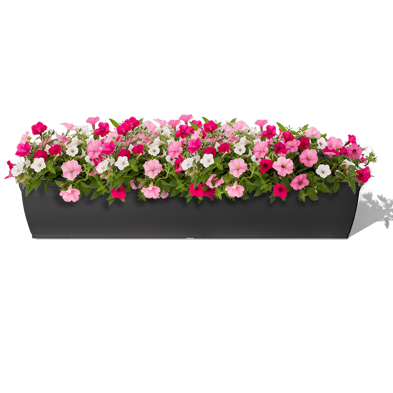 Style Selections WB2132A-BLACK Planter-Window-Box - View #2