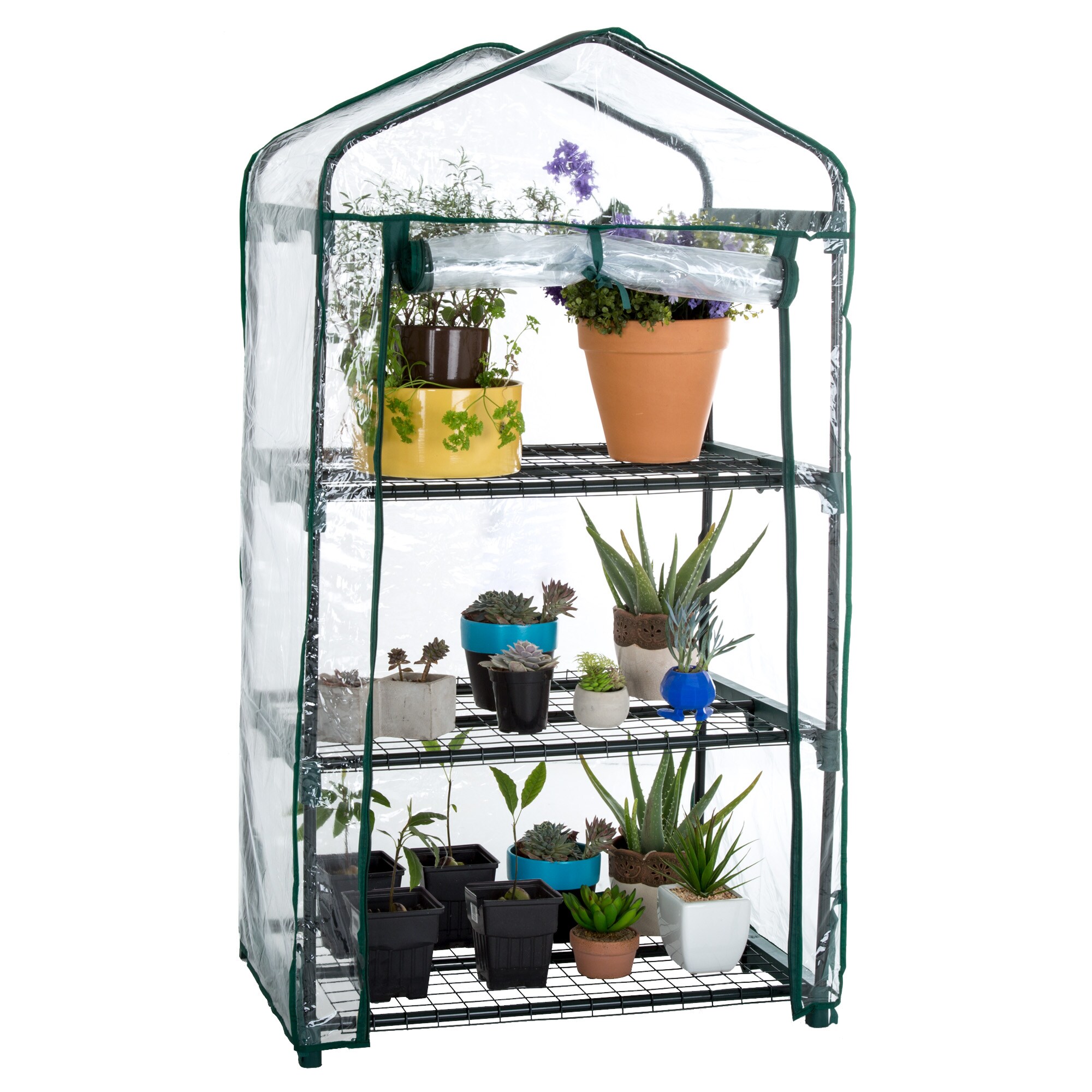 Nature Spring 682817CNN greenhouses - View #3