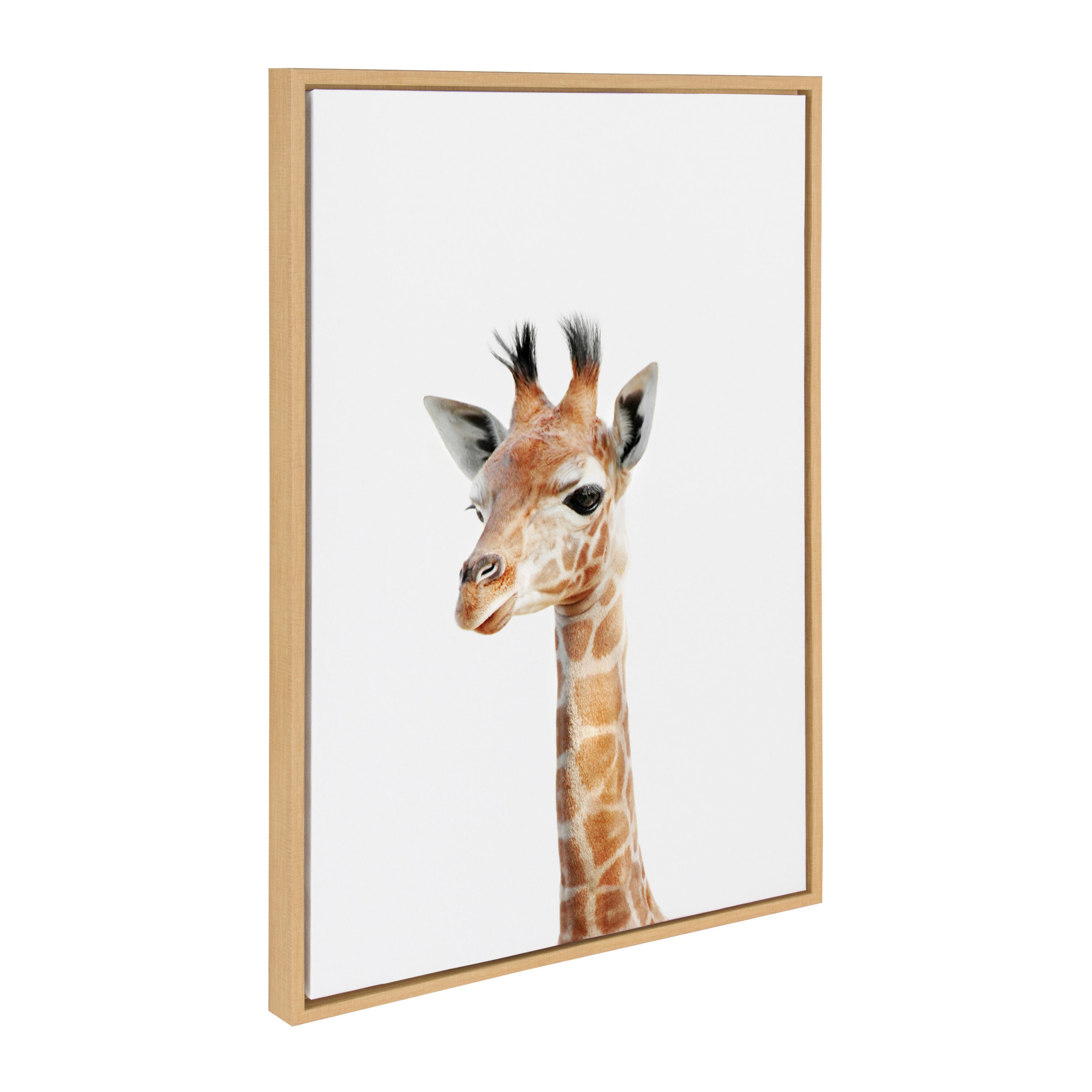 Kate and Laurel Animal Studio Giraffe Amy Peterson Light Brown Framed ...
