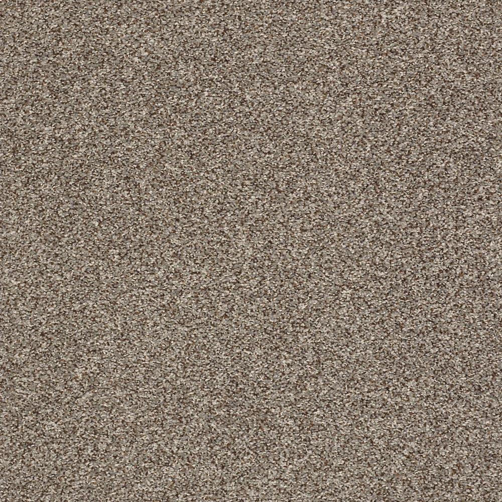 STAINMASTER B707300009 Essentials Kindle Spark Textured Indoor Carpet