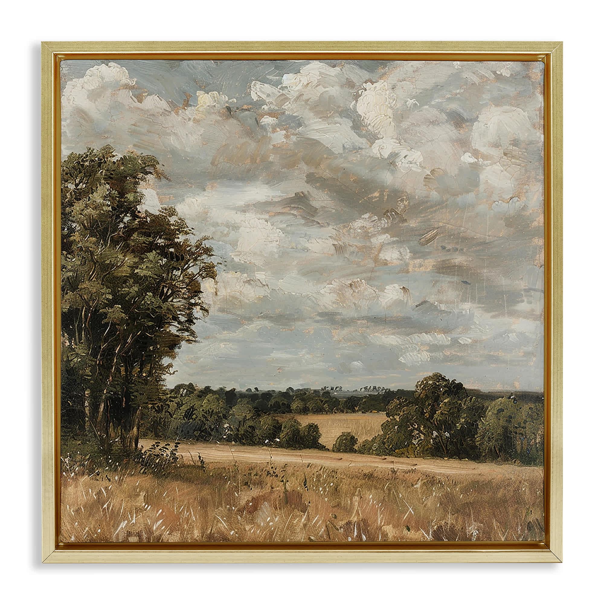 Stupell Industries BT-785-FFG-24X24 Clouds Over Country Scenery Floating Frame design by LSR Creative Studio