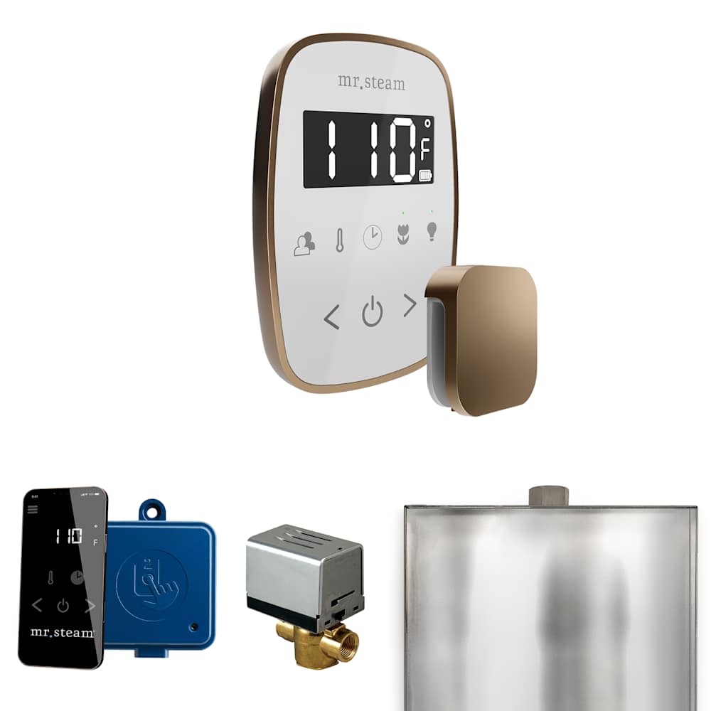  BF Butler Flex Package Steam Shower Control Package with Tempoflex Control and Steamhead