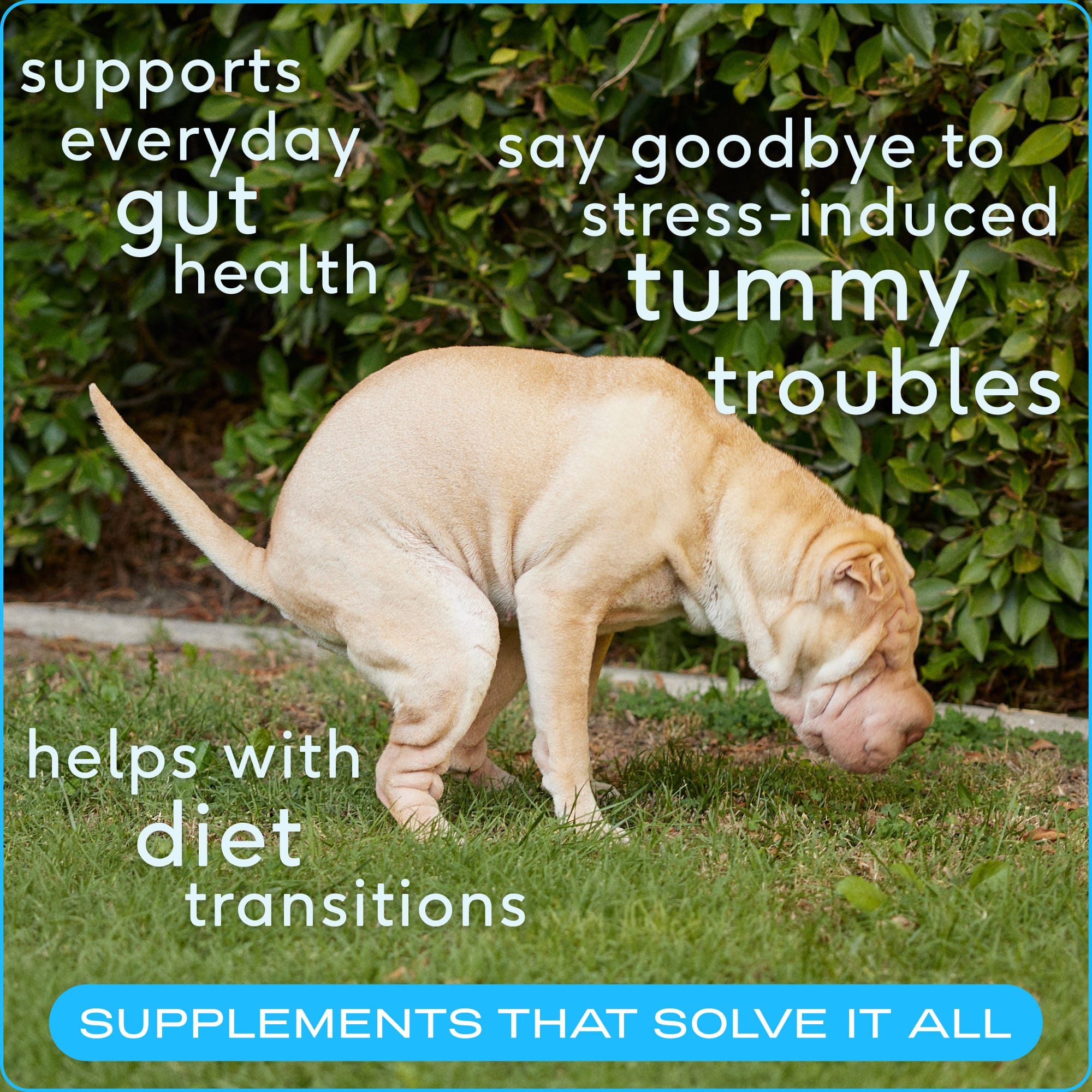 Native Pet PPD-PROB-082OZ Pet-Vitamins-Suppliments - View #3