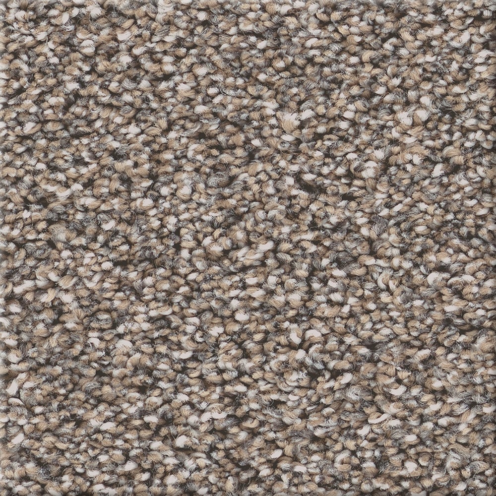 STAINMASTER 7L959-126-SAMP (Sample) 8-in x 8-in Welcome Retreat II Cityscape Brown 53.6-oz sq yard High-performance polyester Textured Indoor Carpet