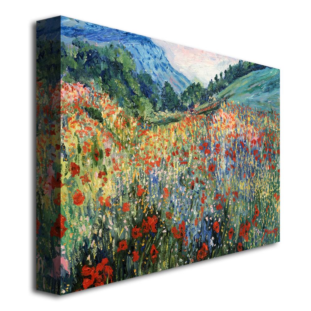 Trademark Fine Art Framed 30-in H x 47-in W Landscape Print on Canvas ...