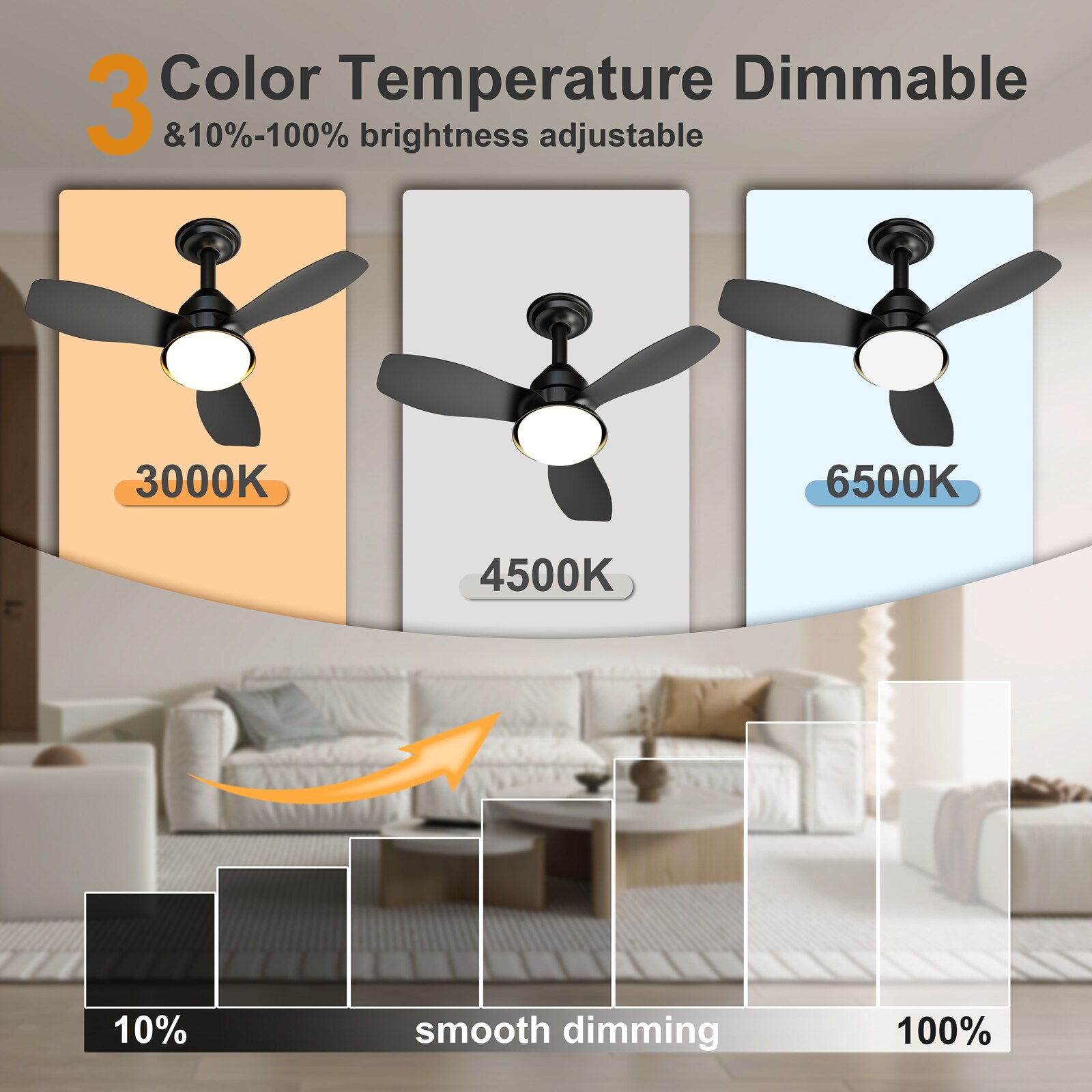 RCCFBHM DSFSDCR9813 Ceiling-Fans - View #8