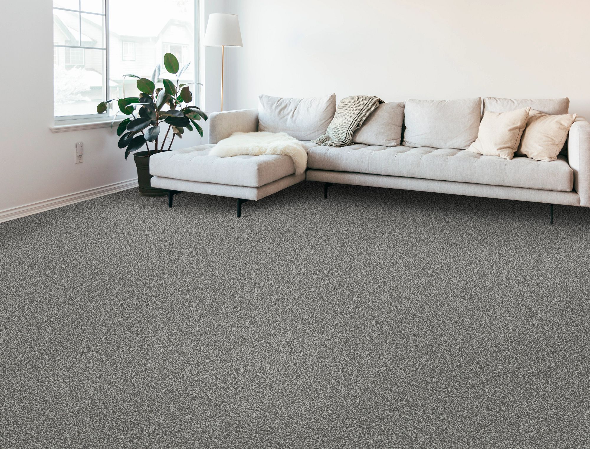 STAINMASTER PetProtect 7L92900536 Carpet-Panel - View #3
