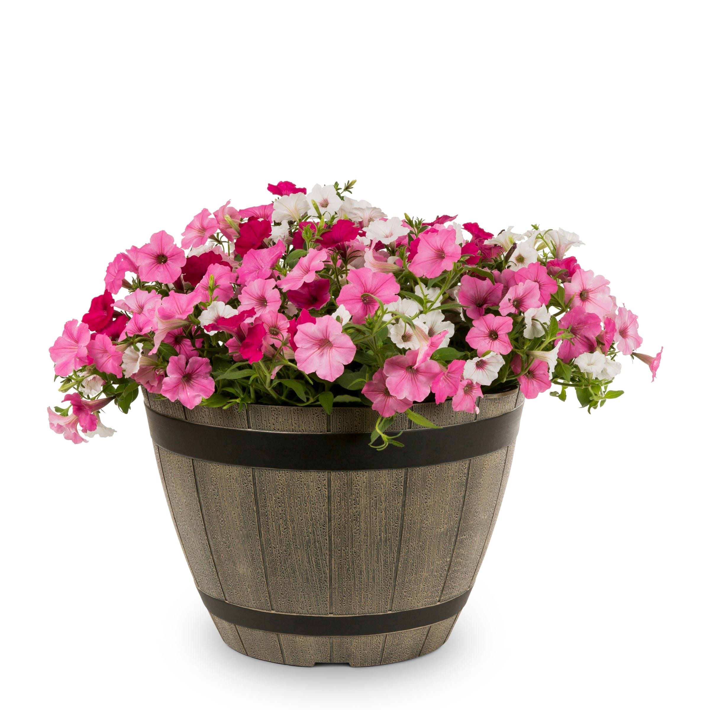 Lowe's NURSERY Multicolor Confetti Shock Pink in 2.50 Gallon(s) Planter 5 -Pack