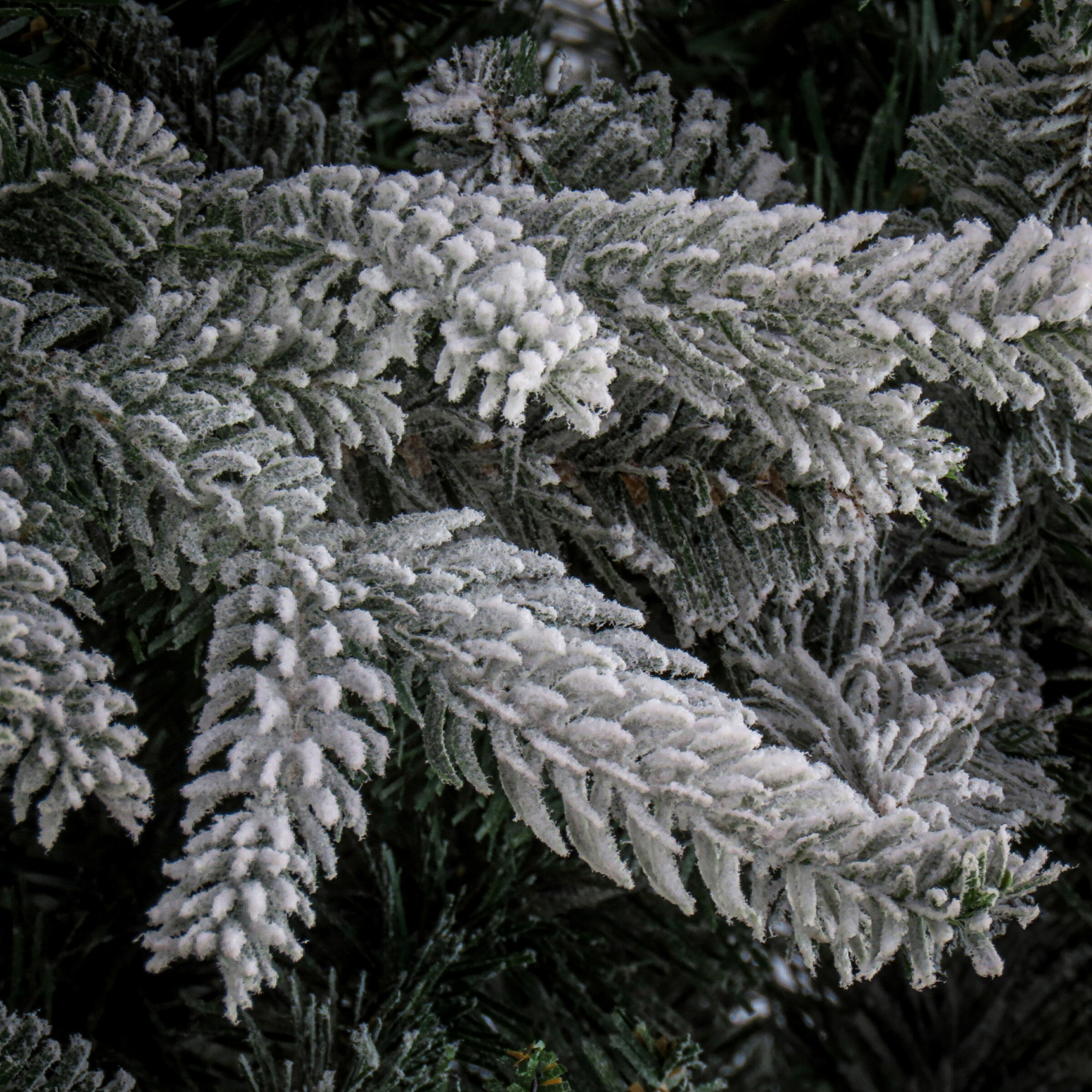 National Tree Company PEHO2-500-75 Artificial-Christmas-Trees - View #3