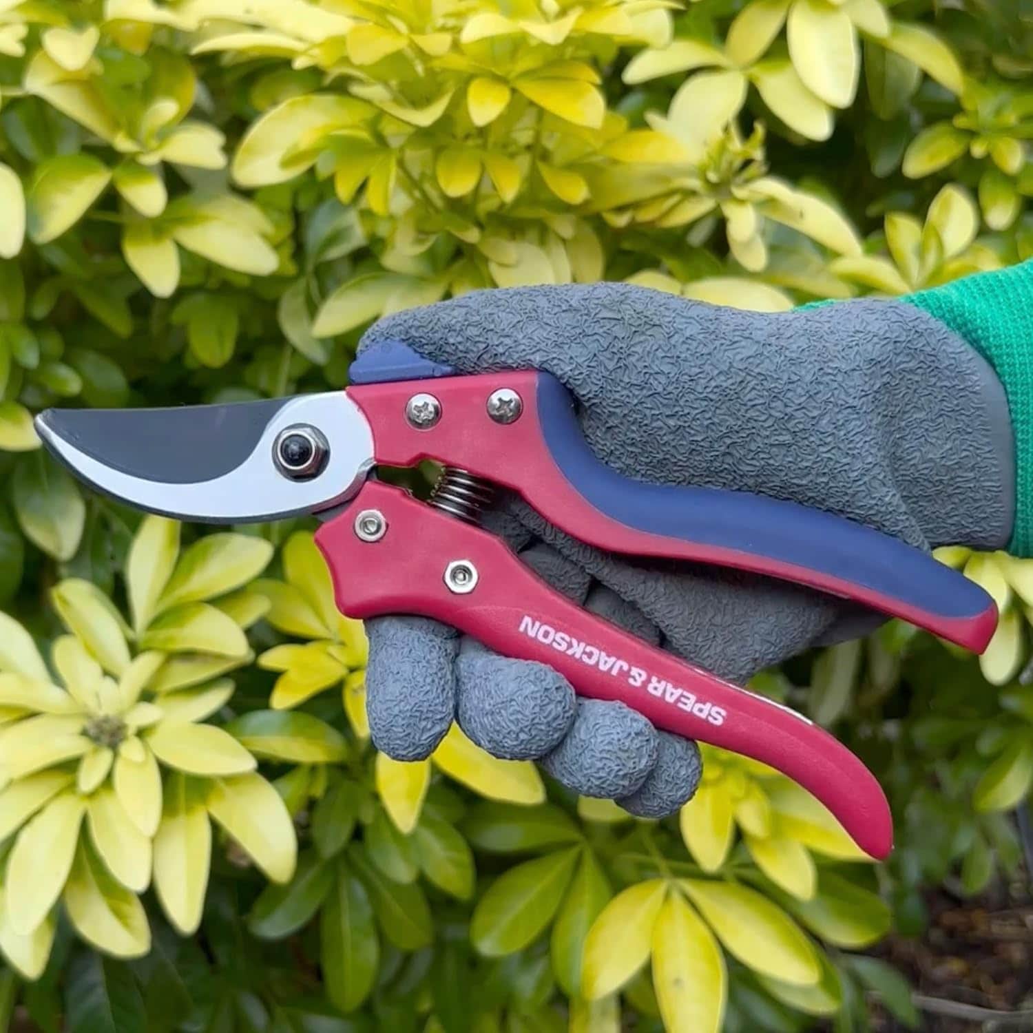 Lehman's 7159BS Hand-Pruners - View #2