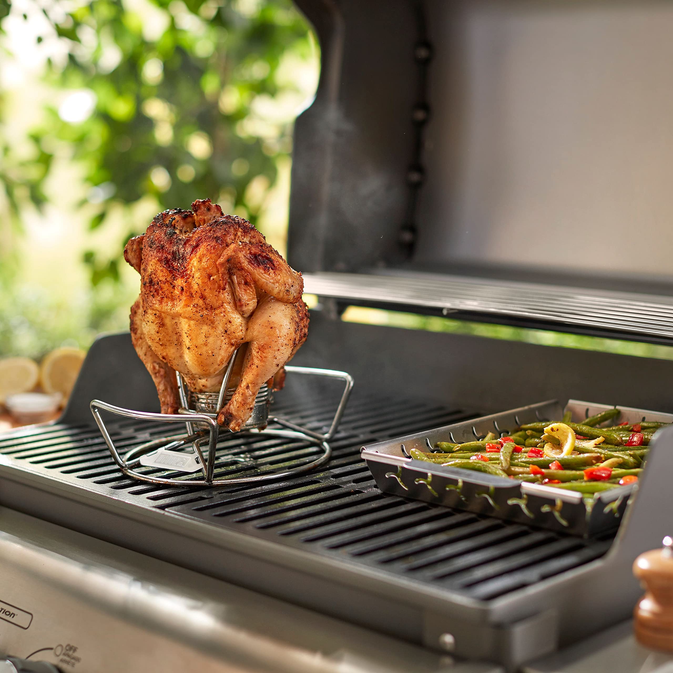 Weber 2621663 Grill-Rotisseries - View #2