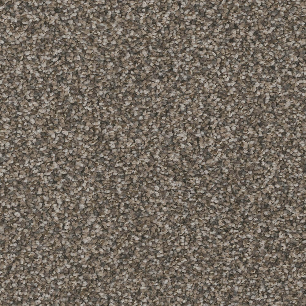 STAINMASTER PetProtect S9055-985-S (Sample) Piedmont City Park Gray 55-oz sq yard Nylon Textured Indoor Carpet