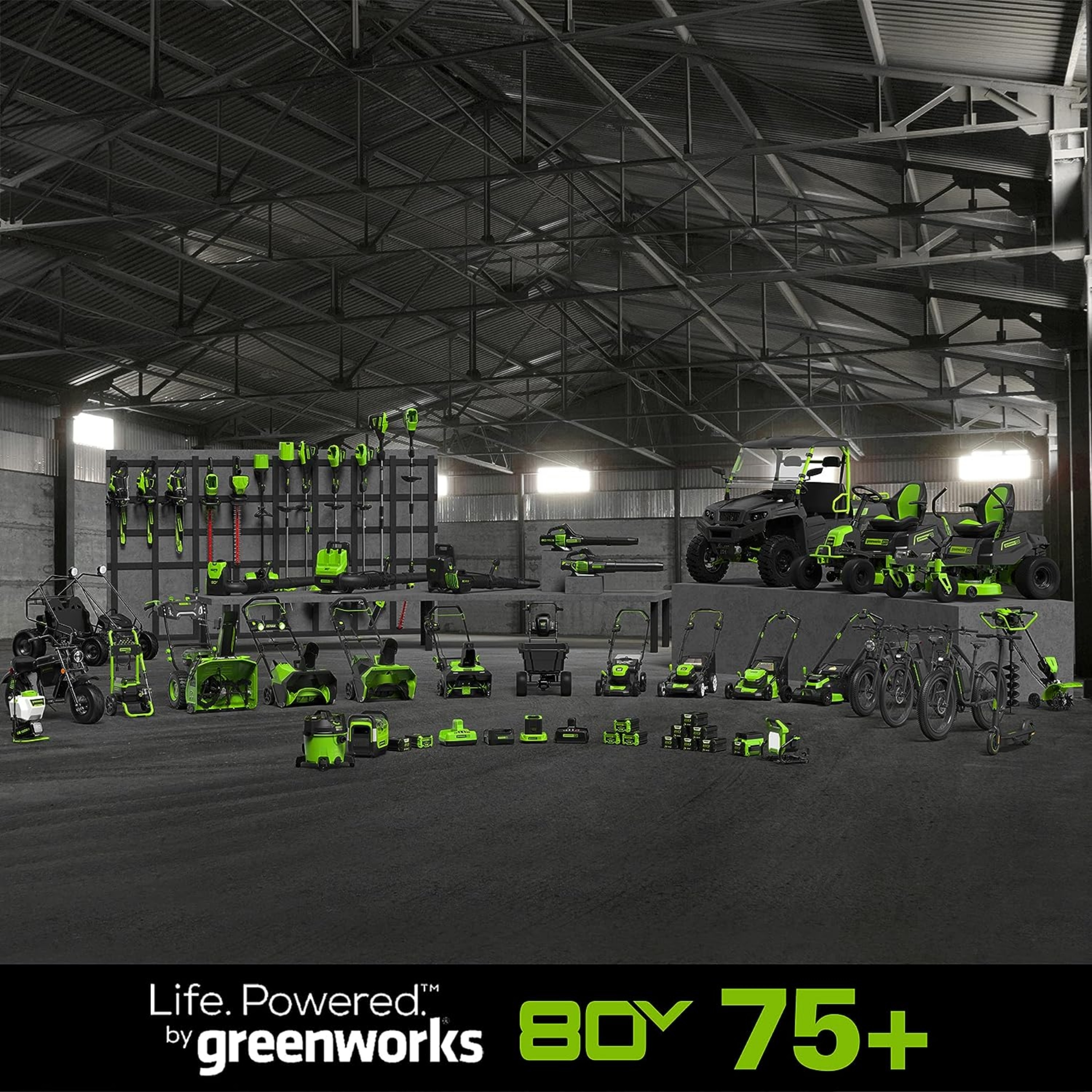 Greenworks 275EB80L40 bikes - View #14