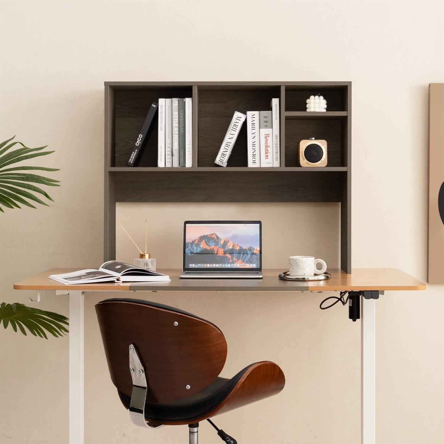 VERYKE 3851215251810 bookcases - View #2
