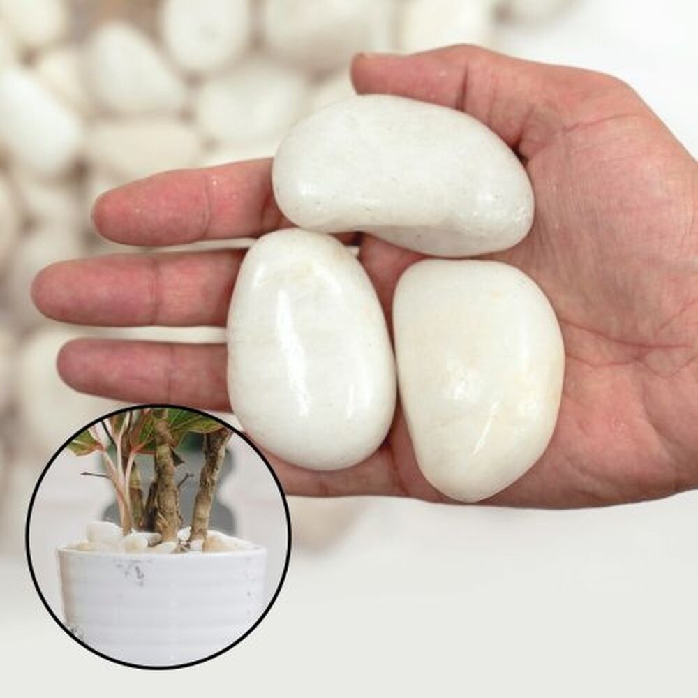 CJGQ 38 lb Bag Large White River Rocks 2 to 3 Inch Natural Polished ...