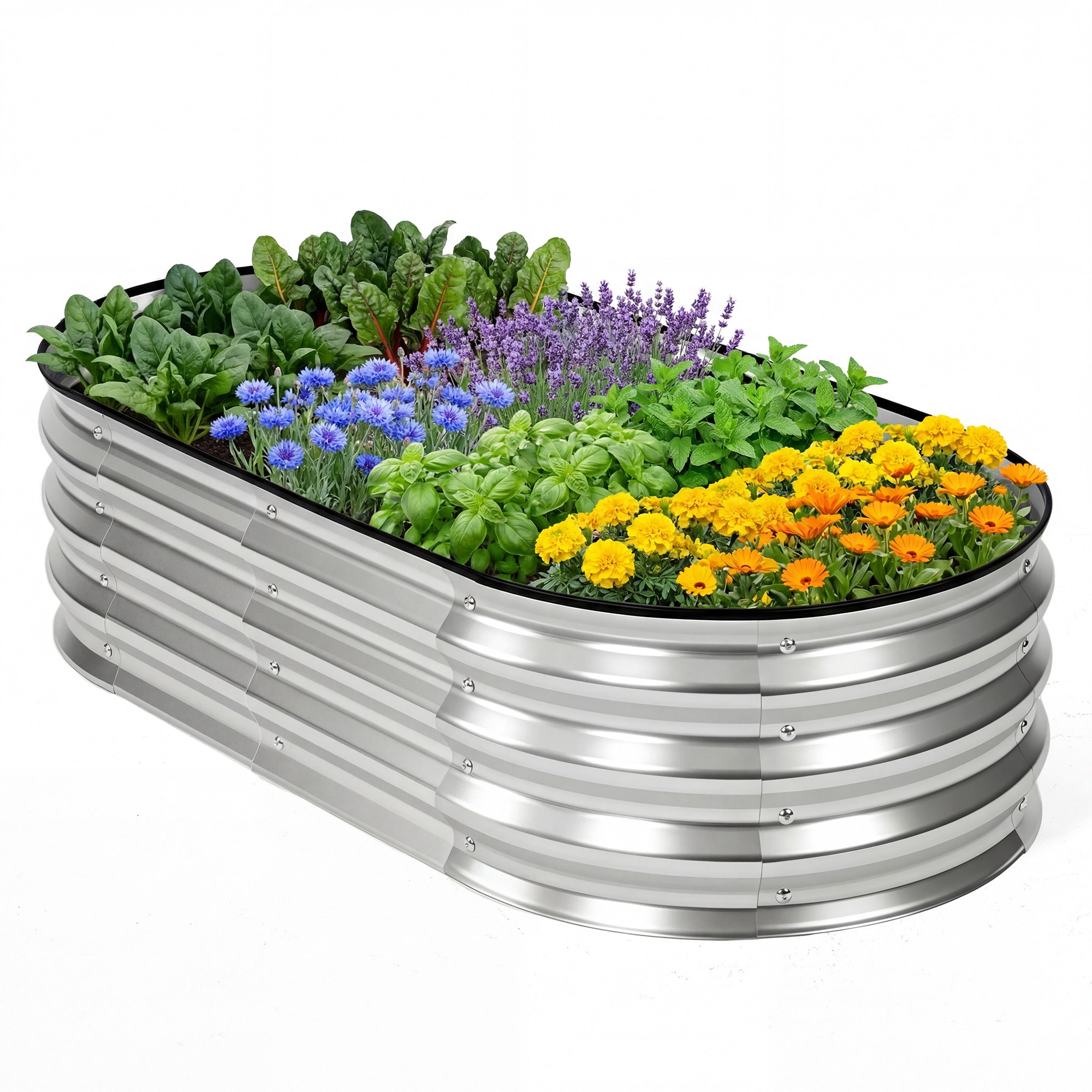 Sweetcrispy 8-cu ft 48-in L x 24-in W x 12-in H Silver Oval Galvanized Metal Raised Garden Bed