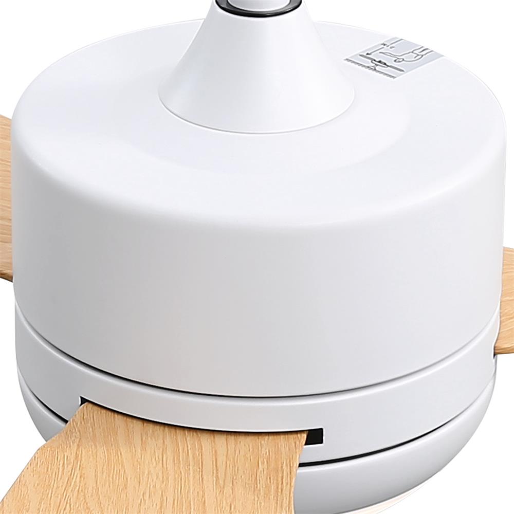 Sofucor LW-46K001-WH-QMW Ceiling-Fans - View #15