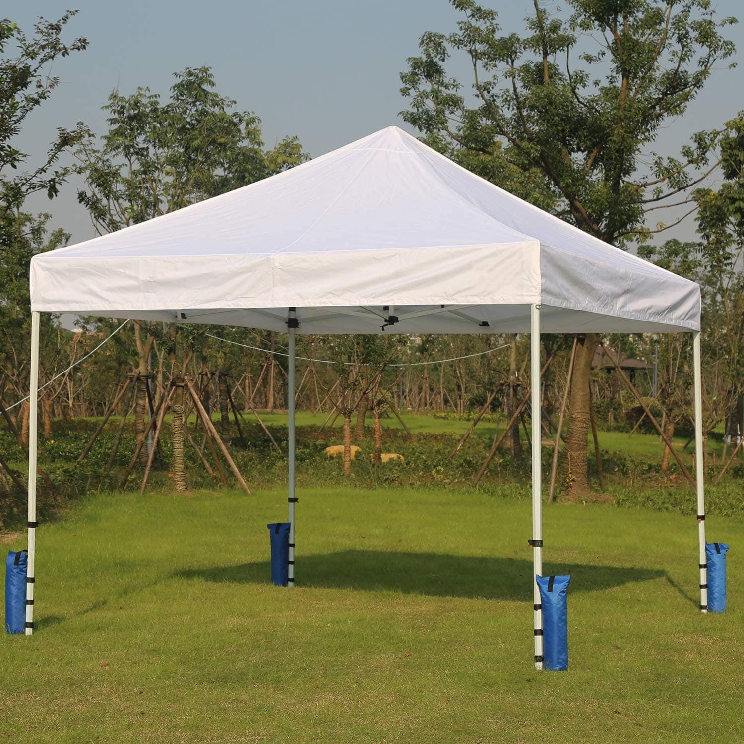 Angel Sar ZQYTEN0318-BLU Tent-Accessories - View #6