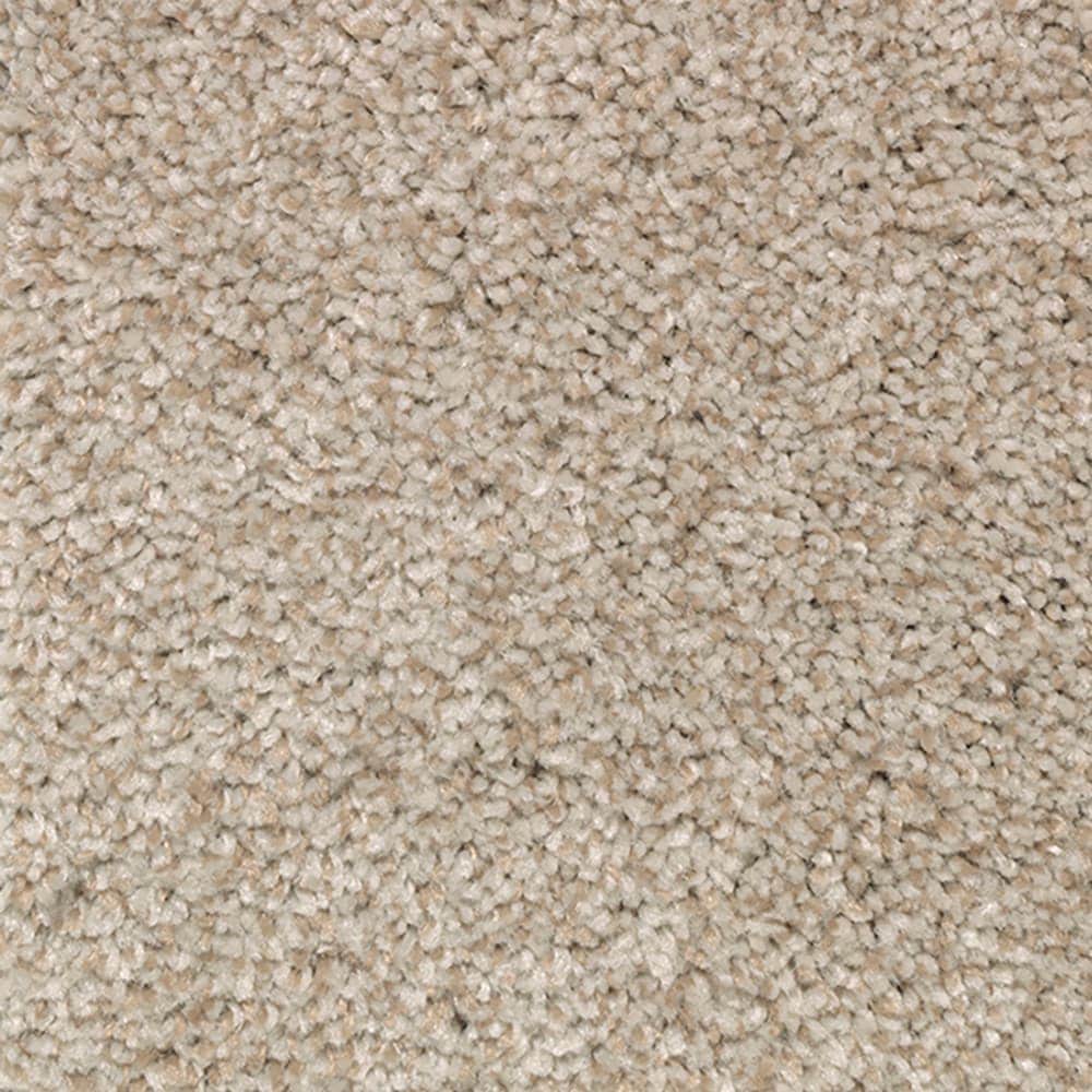 STAINMASTER STP21-L004-0808 (Sample) Soft cover Stationary Brown 55-oz sq yard Polyester Textured Indoor Carpet