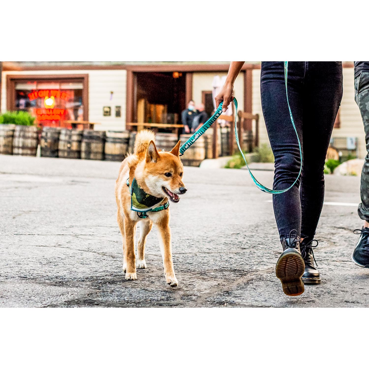Wolfgang Puck EJD8101648 Leashes-Leads - View #3