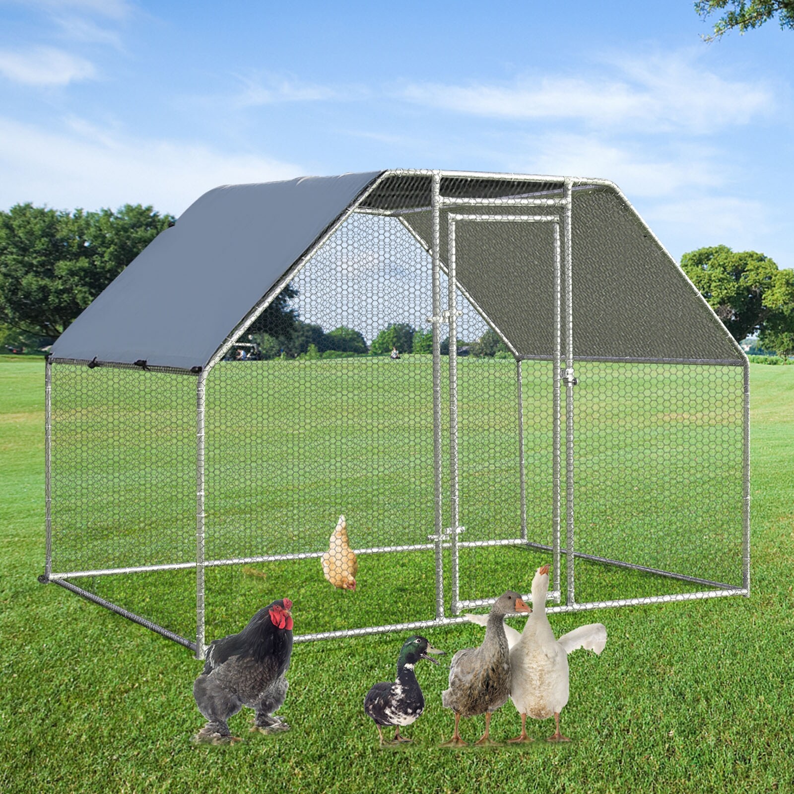 Slickblue D-CO-+1837SP Chicken-Coops-Rabbit-Hutches - View #7