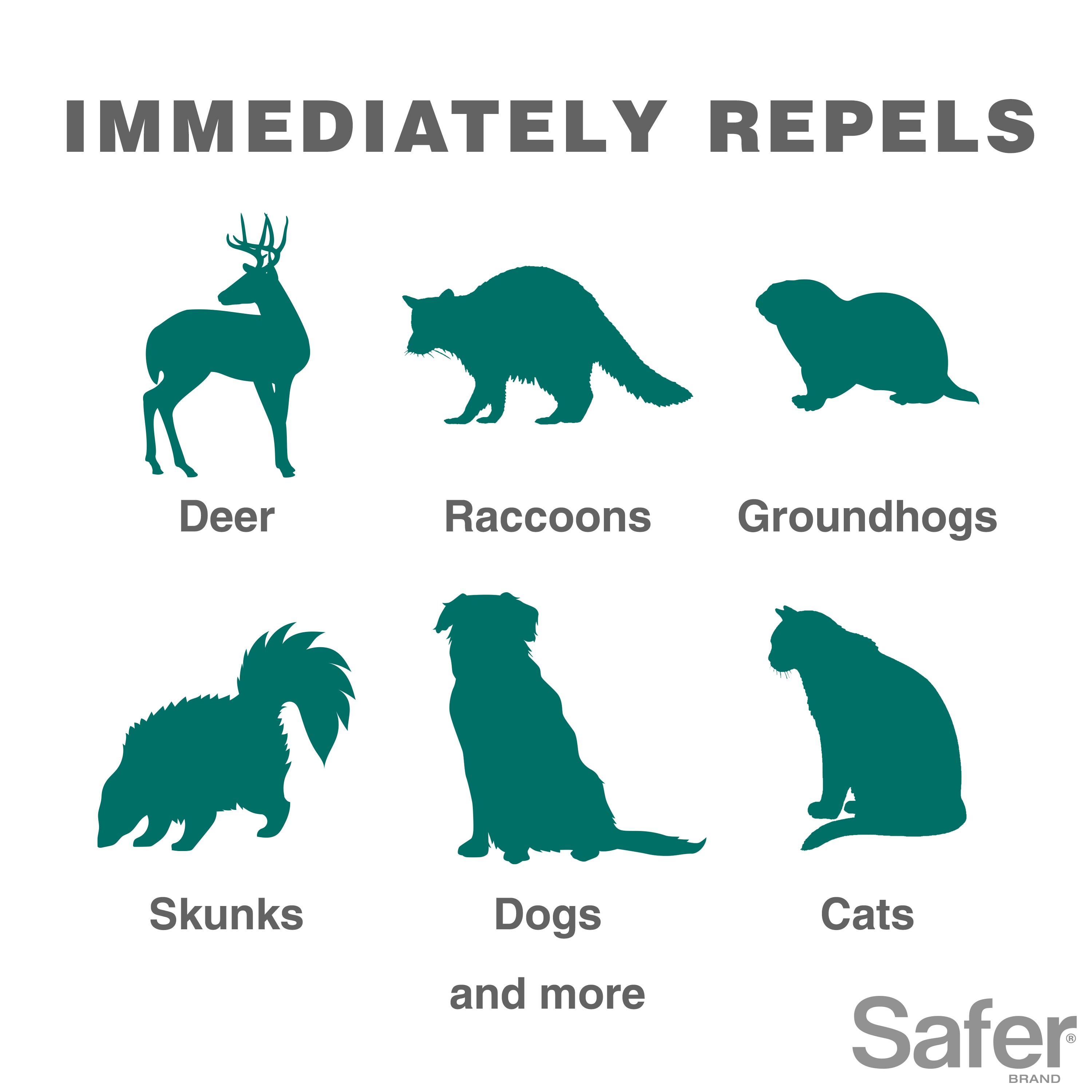 Safer 5277 Animal-Rodent-Control - View #5
