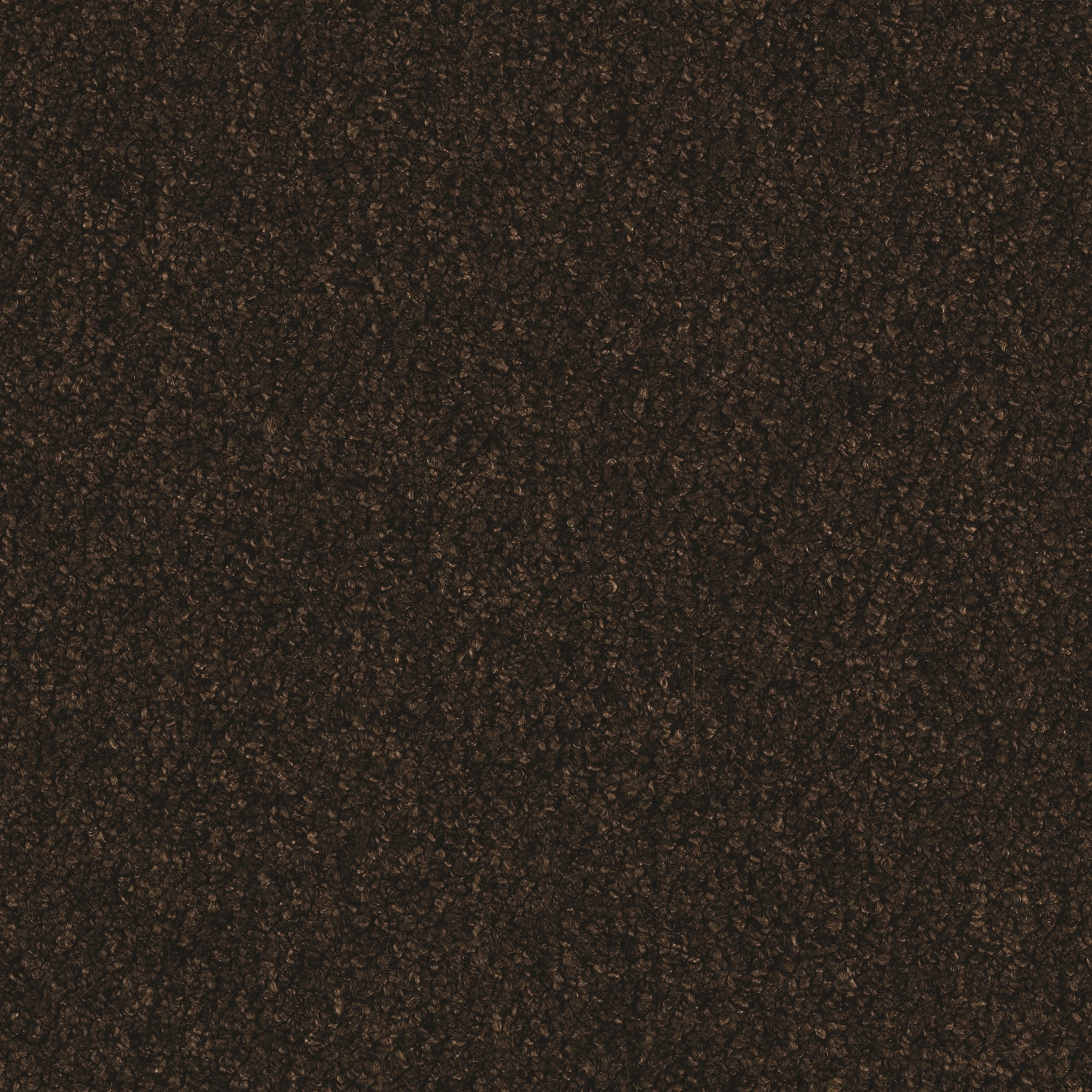 Mohawk LC42-879-0808 (Sample) Home and Office Scholastic 26 Pinecone Brown 26-oz sq yard Nylon Textured Indoor Carpet