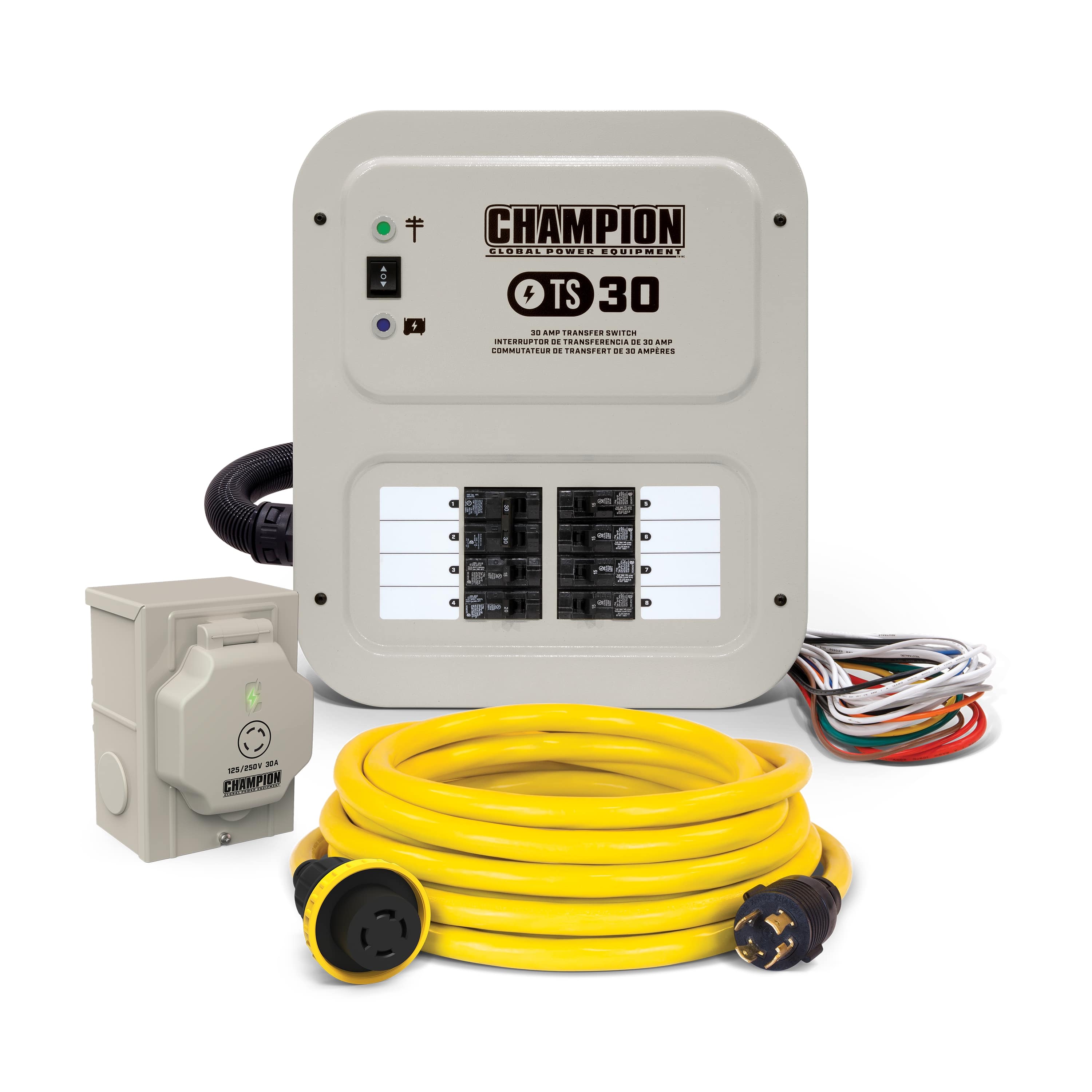 Champion Power Equipment 201192 30 -Amp Manual Transfer Switch