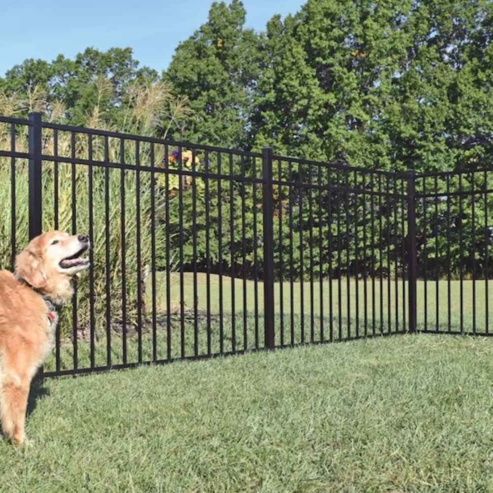 Capital Railing ALFBDBL73017538Q Fence-Gates - View #4