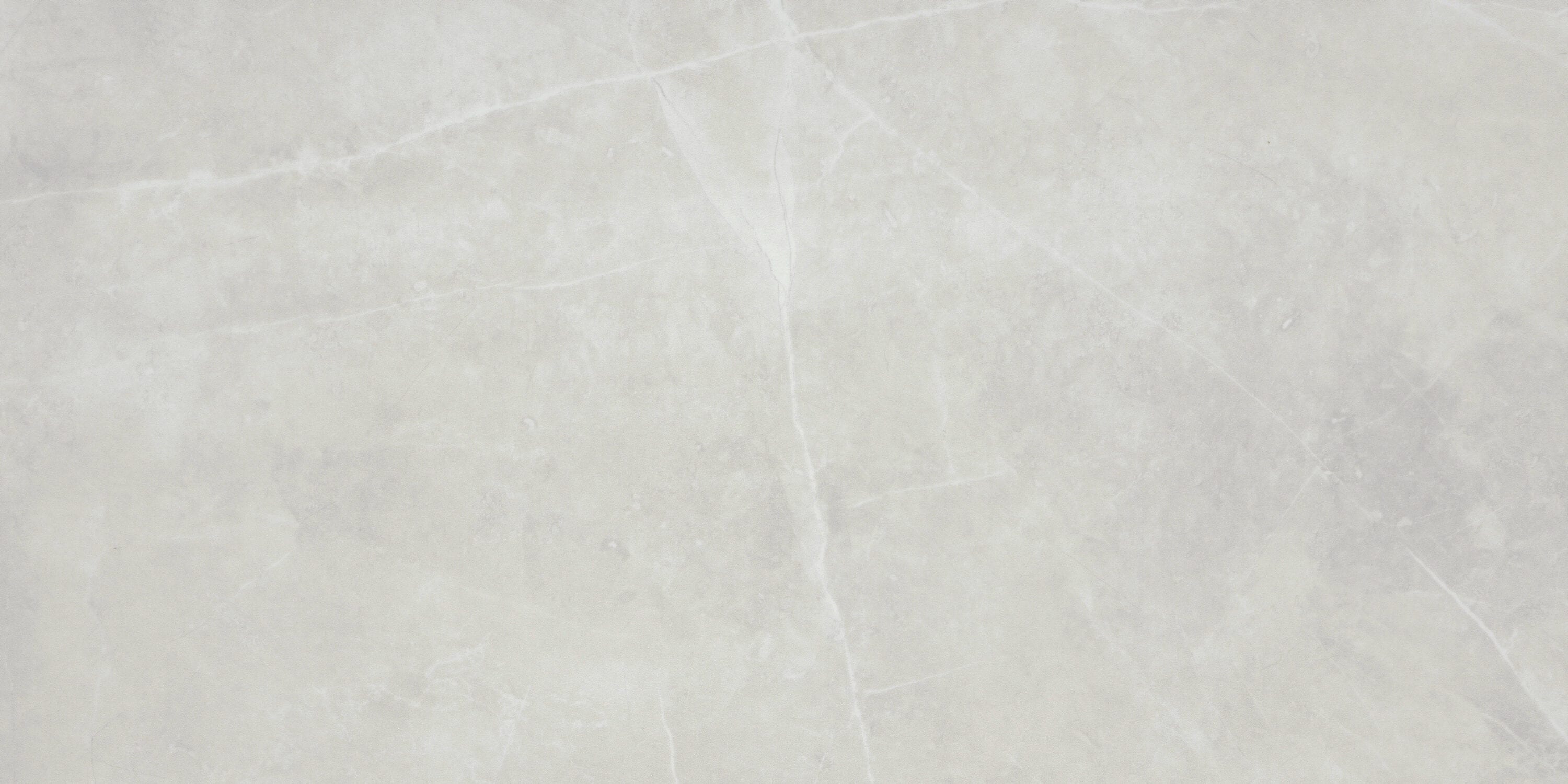 Emser F13STERSI1224 Sterlina Silver 12-in x 24-in Matte Porcelain Stone Look Floor and Wall Tile (15.504-sq. ft/ Carton)