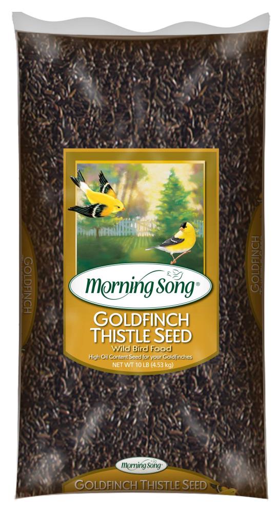 thistle seed lowes