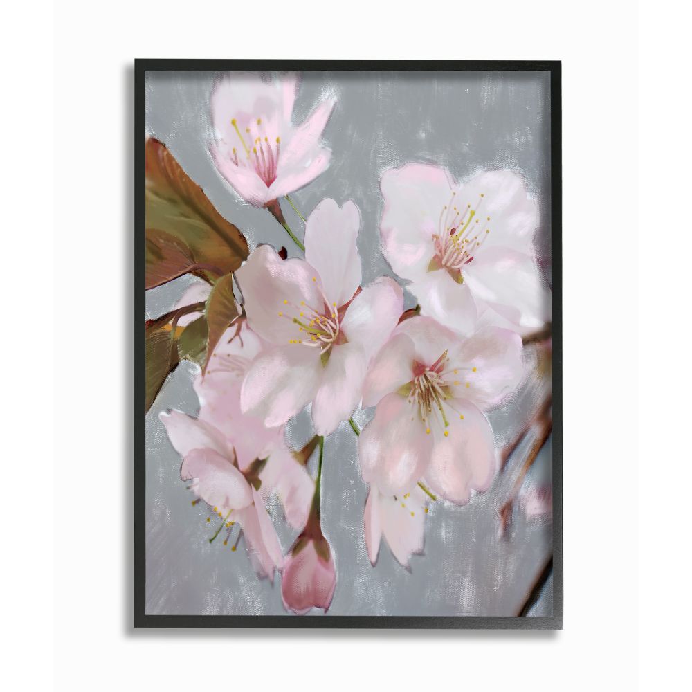 Stupell Industries AB-850-FR-16X20 Blooming Cherry Blossoms on Spring Branch Daphne Polselli Black Framed Wood Framed 20-Inches H x 16-Inches W Floral Print