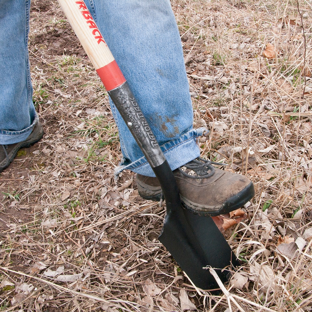 Razor-Back 2597400 Shovel-Spade - View #3