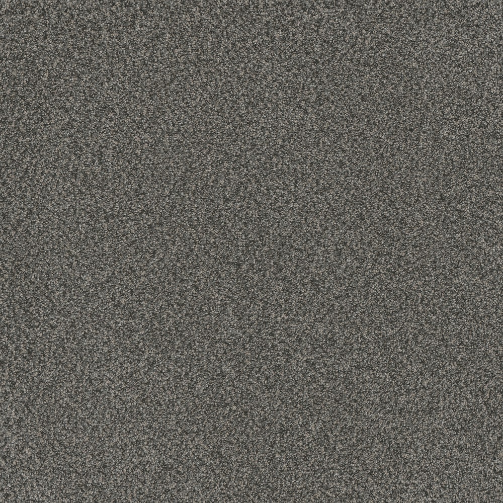 STAINMASTER L3016-412-1200-AB Soft Shadows I Dusk Gray 40-oz sq yard Solution-dyed polyester Textured Indoor Carpet
