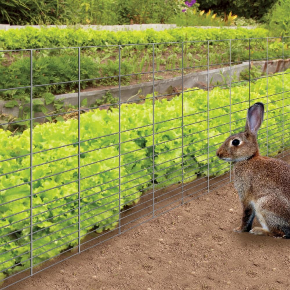 Hot Dipped Galvanised Rabbit Fencing  19mm Hole 50m x 1200mm Roll - The  Mesh Company