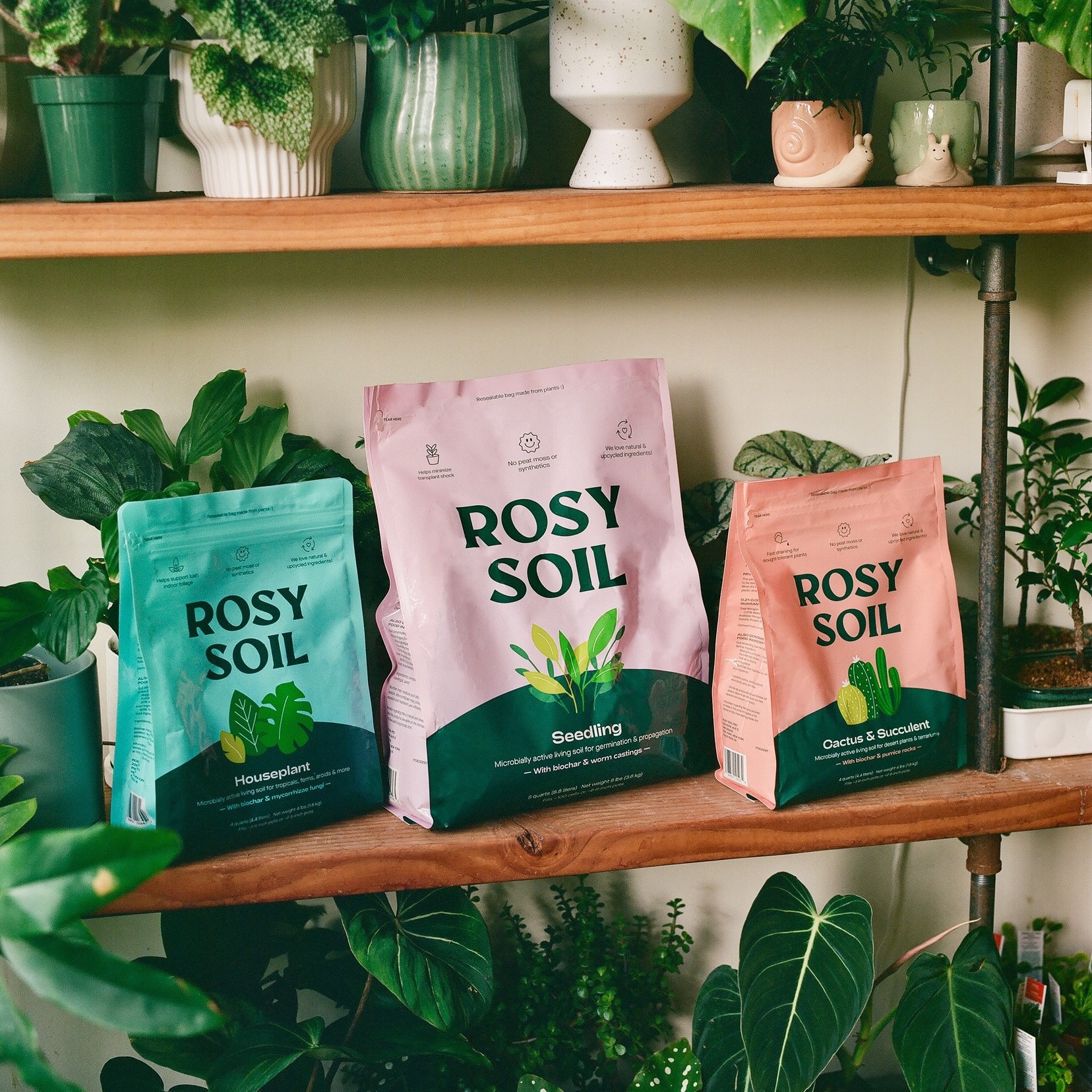 Rosy Soil 196852105274 Garden-Soil-Soil-Amendments - View #12