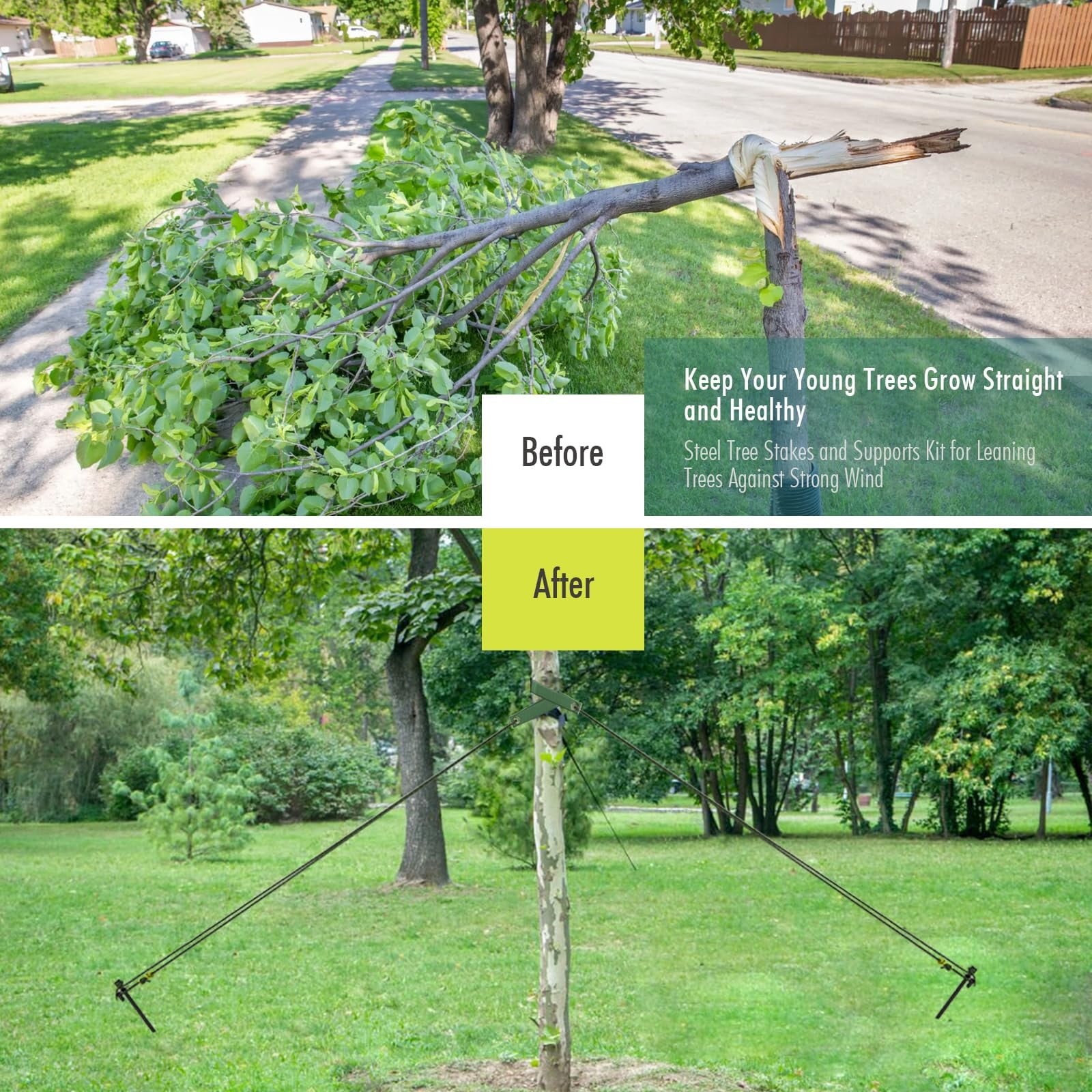 Adrinfly LAD0421S16 Tree-Stakes-Ties - View #3