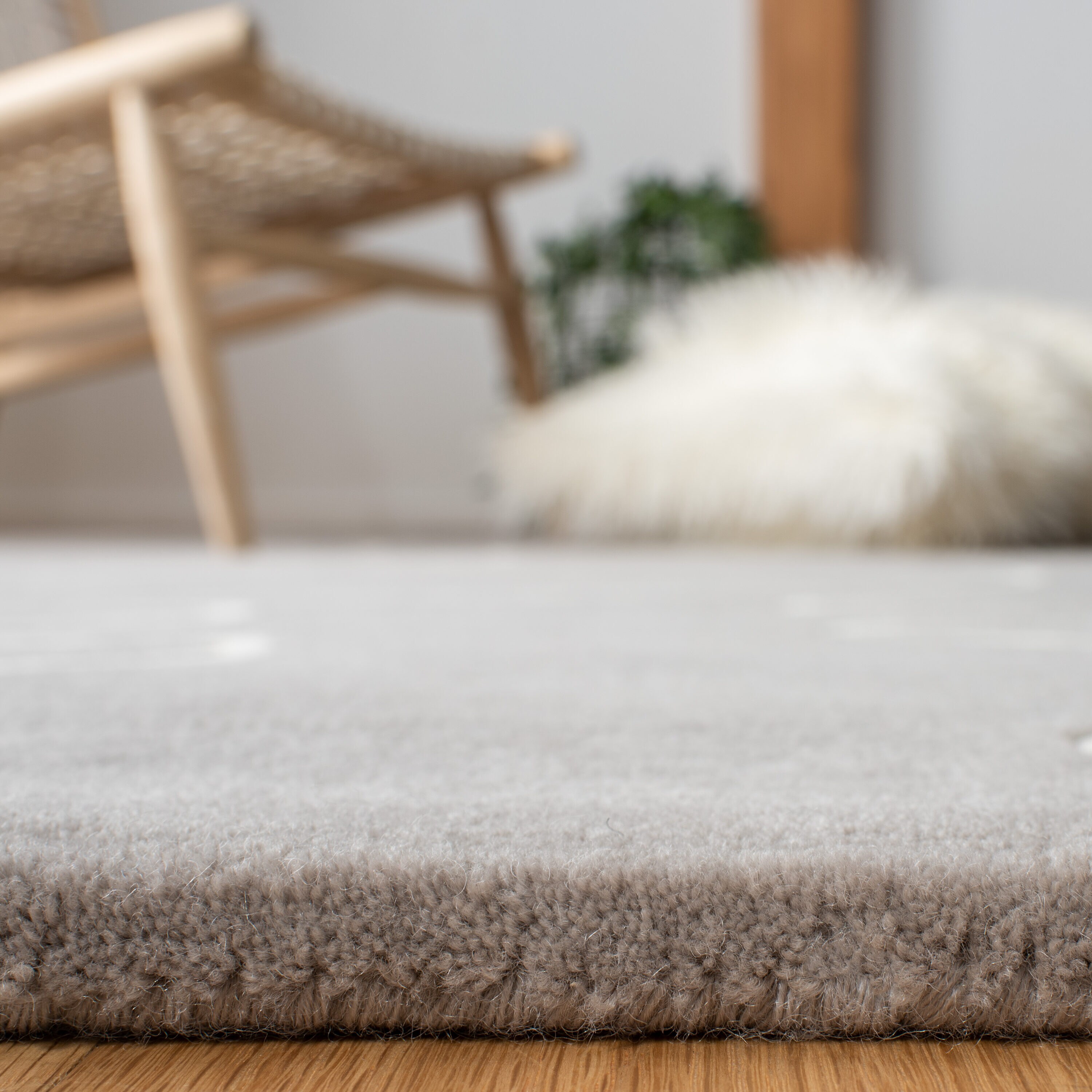 Safavieh FTV111F-6 rugs - View #4