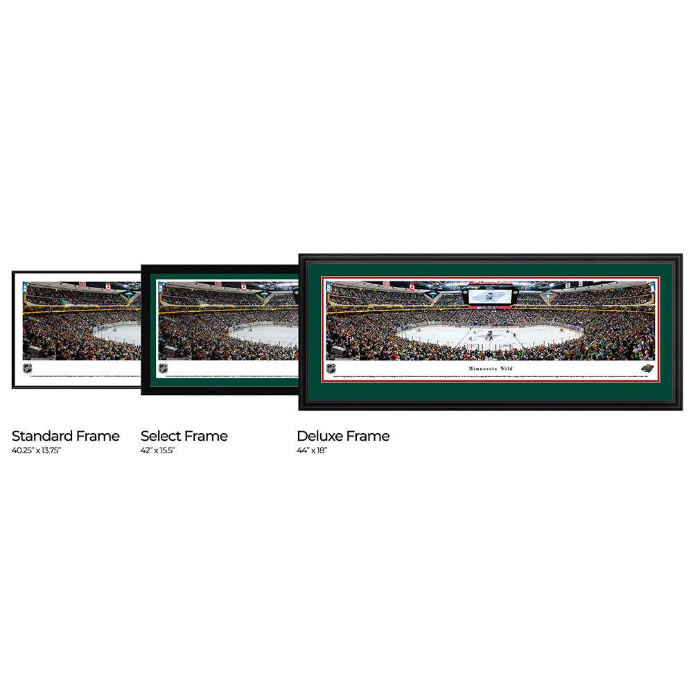 Blakeway Panoramas NHLWILD3D Wall-Art - View #3